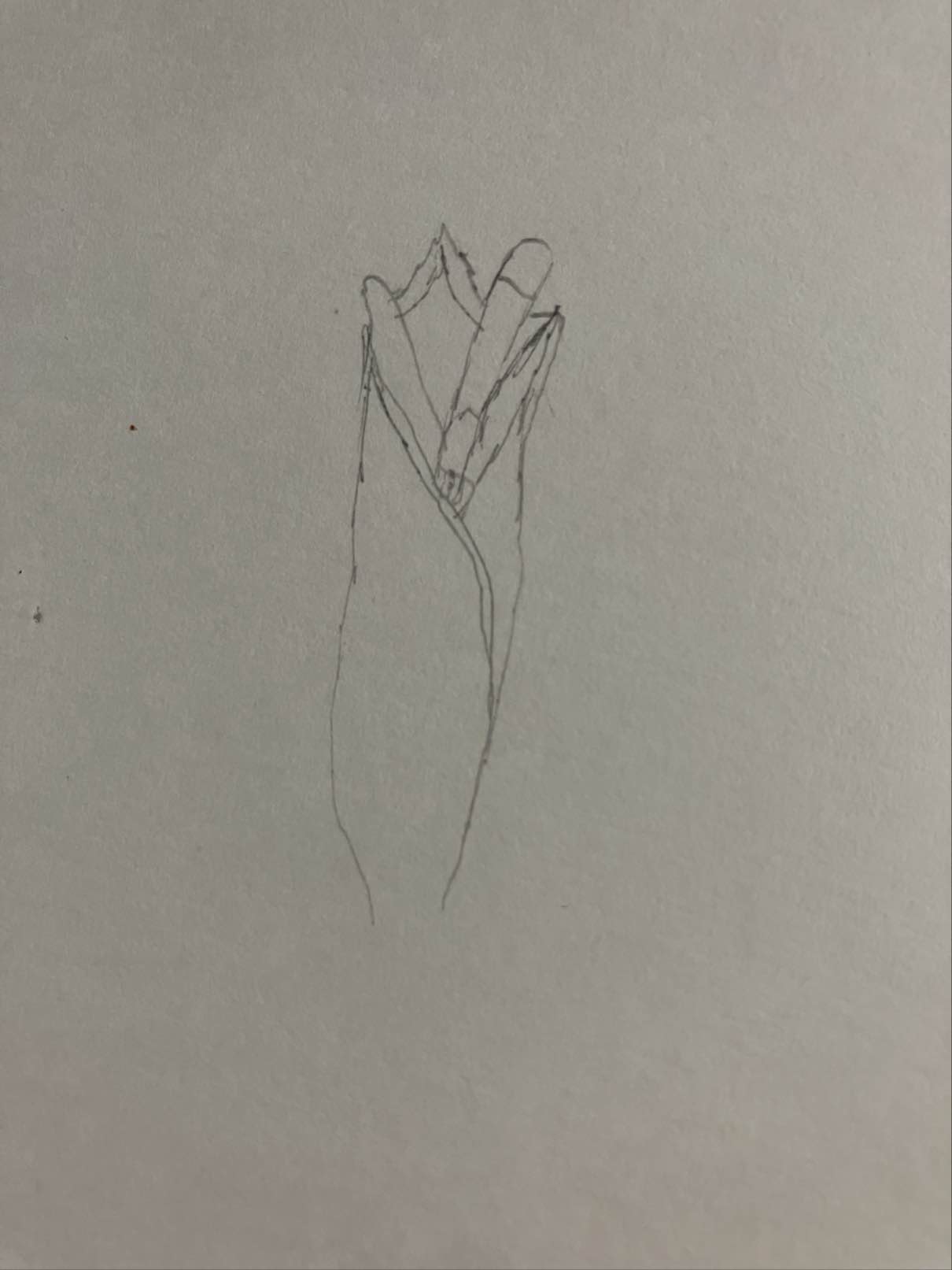 Foto van Tropische Plant 1